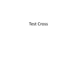 Test Cross