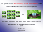 Ten species in one: DNA barcoding reveals cryptic species in the