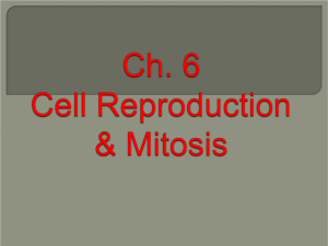 Cell Reproduction & Mitosis