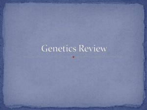 Genetics Review