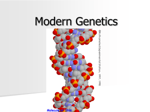 Modern Genetics