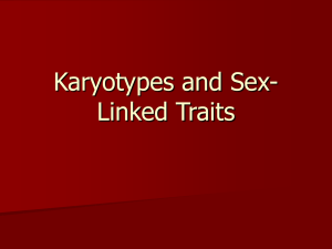 Karyotypes and Sex linked