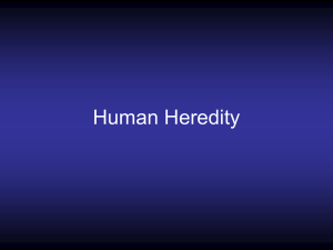 Human Heredity - Fort Bend ISD