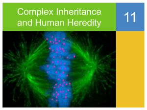 Complex Inheritance and Human Heredity