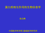 蛋白质相互作用的生物信息学