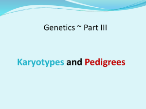 Pedigree and Karyotype Power point