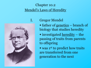 10.2-Heredity (Mendel)