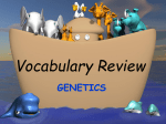 Vocabulary Review