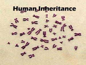 Human Inheritance