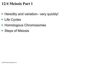 Meiosis Lecture - Mayfield City Schools