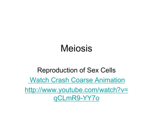 Meiosis - SP New Moodle