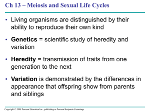 Meiosis