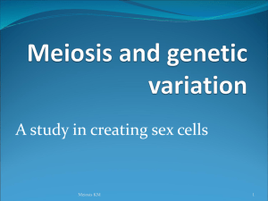 Meiosis - My CCSD