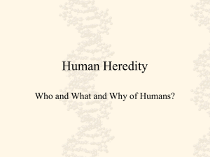 Human Heredity