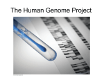 The Human Genome Project