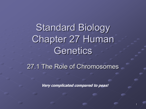 Standard Biology Chapter 27 Human Genetics