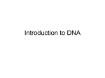 Intro to DNA