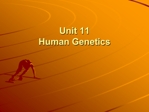 Unit 11 Human Genetics