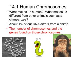 11-2 Genetics and Probability