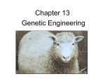 Genetic Engineering