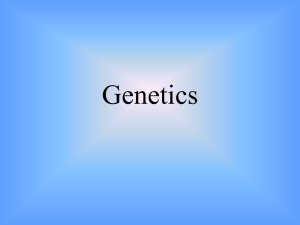 Genetics