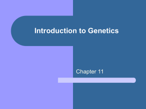 Introduction to Genetics - Cherokee County Schools