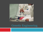 Genetic Engineering - Effingham County Schools