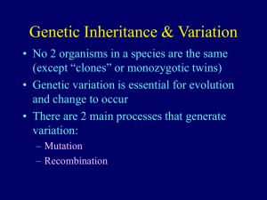 Genetic Variation I