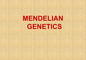 mendelian genetics