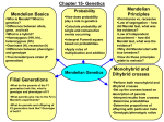 how did Mendel test, what was the evidence?