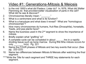 MEIOSIS I