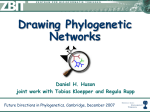 Beyond Galled Trees – Decomposition and Computation of Galled