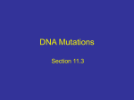 DNA Mutations