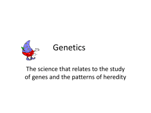 Genetics - Cloudfront.net