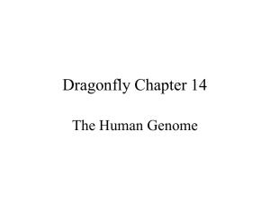 Dragonfly Chapter 14