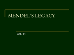 MENDEL`S LEGACY