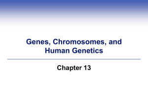 X-Linked Recessive Inheritance