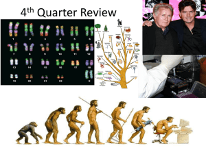 4th Quarter Review