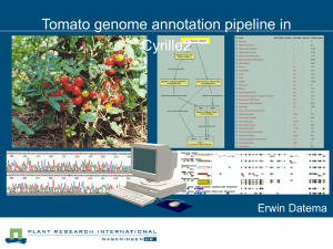 ppt - Sol Genomics Network