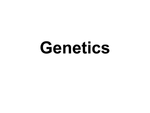 Genetics