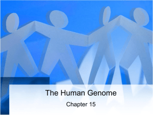 The Human Genome