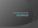 PEDIGREES