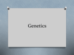 Genetics - Kawameeh Middle School