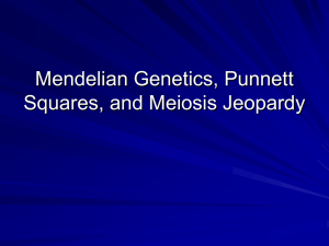 Mendelian Genetics, Punnett Squares, and Meiosis Jeopardy