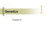 Genetics Notes