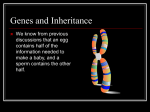 Genes and Inheritance