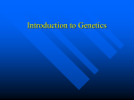 Introduction to Genetics