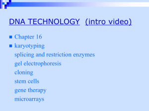 Reg Bio DNA tech 2013 ppt