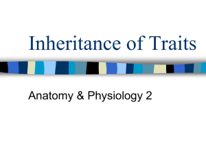 Inheritance of Traits