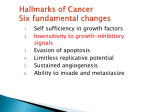 The 2 alleles on chromosome 13q14 must be inactivated